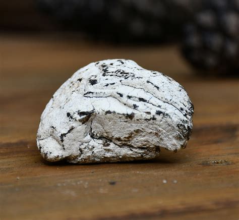 Ambergris .